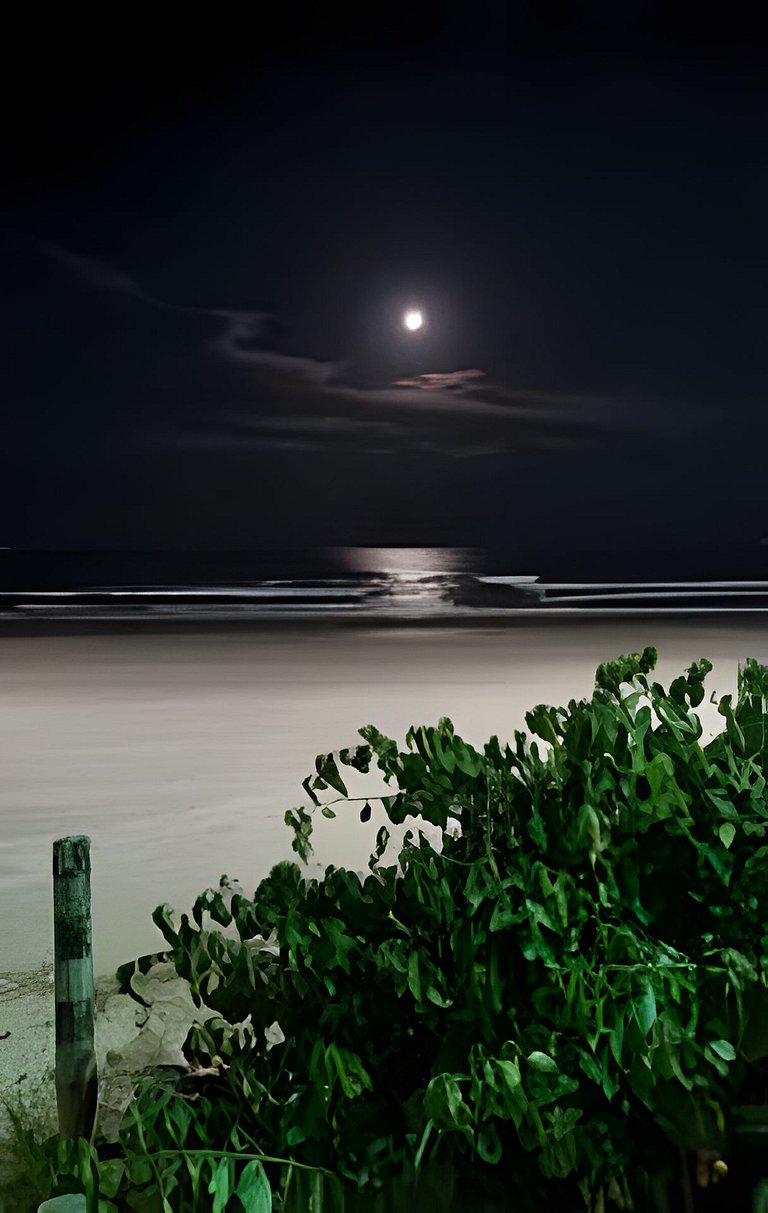 Pé na Areia, 2 Quartos, Compacto e Funcional